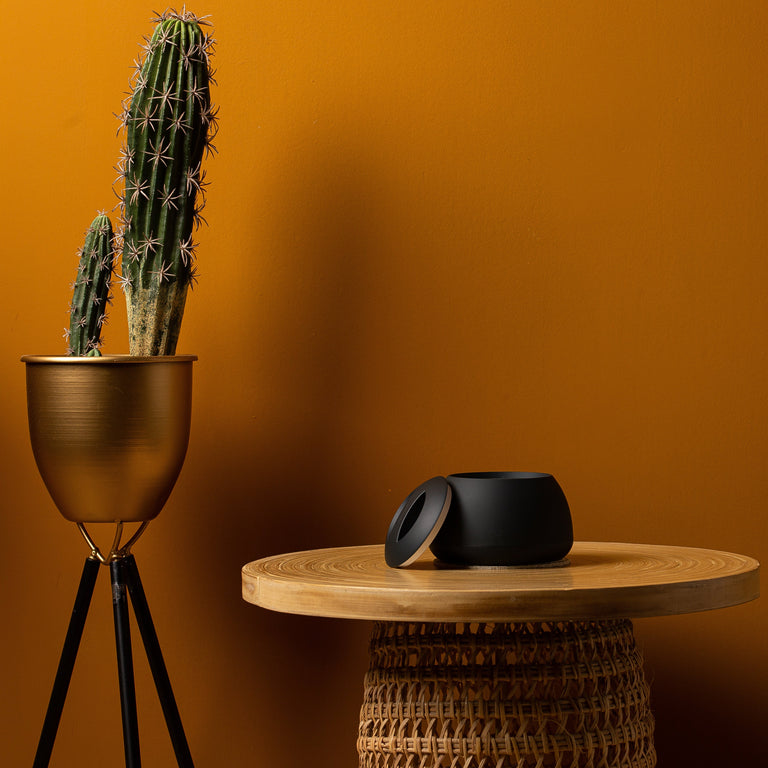 Dental pod: Ultrasonic Cleaning Dos and Don